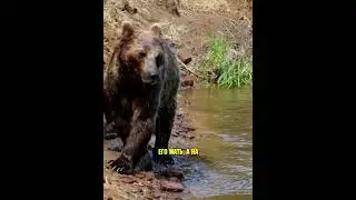 Как Рыбаки Спасли Себя и Медведя! 😱 #shorts