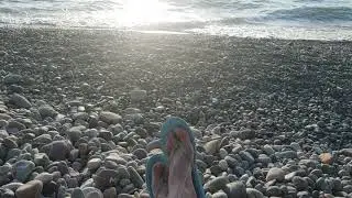 woman laying on the beach, female legs relaxing on seaside sunset, pov