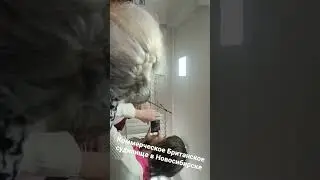 Commercial judge Borzitskaya judges a Soviet citizen