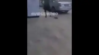Игра Поймай шустрика