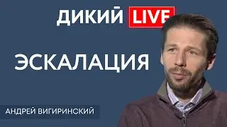 Посыл понятен… Андрей Вигиринский. Дикий LIVE.