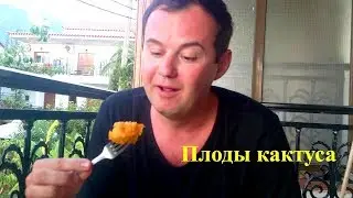 Как есть плод кактуса? Колючая груша | Плоды кактуса опунция (opuntia ficus indica)