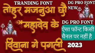 Dg Pro 03 Calligraphy Font Free Download 2023 || Dg font free download ||| New dg font free download