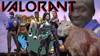 Valorant | Please play in Taim