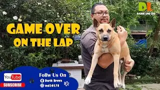 Game Over On The Lap