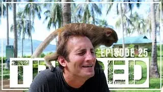 SURVIVING MONKEY ISLAND - Nha Trang, Vietnam