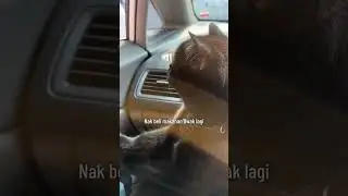 Beli daging lembu (topside) kemudian bekukan untuk stok 2 minggu