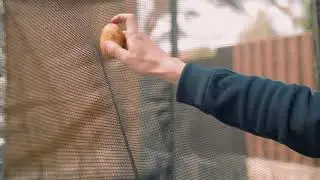 Защитная сетка на батут Hasttings для самых маленьких