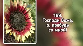 Гимны надежды 189 Господи Боже, о, пребудь со мной! (-)