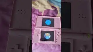wild world startup DS