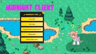 pony town чит cheat update!
