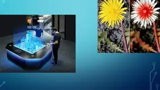 SD&A 2020 Keynote: Social holographics: Addressing the forgotten human factor