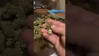 Pink Kush 2 month cure.