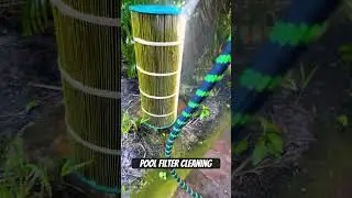 Pool filter cleaning