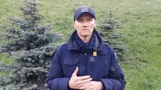 Когда надо к психологу?