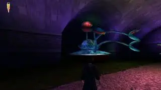 Harry Potter and the Sorcerer's Stone GamePlay Part 9 Hogwarts castle grounds #newgame #magical