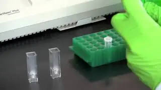 DNA Quantitation Using a Spectrophotometer