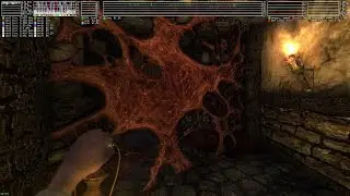 Amnesia: the Dark Descent ·· Linux Native Gameplay