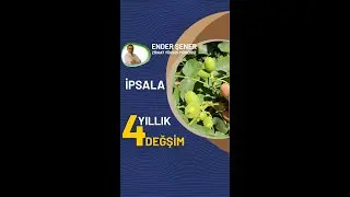 İpsala 4 Yıllık Değişim.