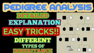 PEDIGREE ANALYSIS || EASY TRICKS TO SOLVE PEDIGREE PROBLEMS || HOW TO SOLVE PEDIGREE PROBLEMS?