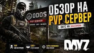 Обзор на крутой PVP сервер - ODOS | Сервера Dayz | Обзоры серверов Dayz