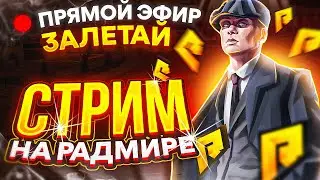 ВСТУПАЕМ В ППС | ИГРАЕМ НА RADMIR CRMP