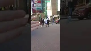Смотрите каких красоток увидела сегодня в Питере