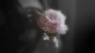 Марина Цветаева. В огромном городе моем - ночь...