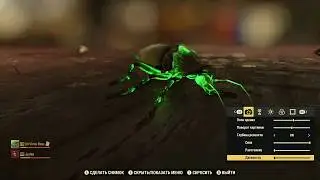 Fallout 76 - How to make a good virtual photo a cockroach!
