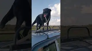 Нас не сломить))) 😉