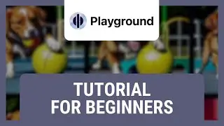 Playground AI Tutorial for Beginners