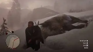 Red dead redemption 2 how to get legend bison