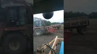 Папа блогер 👍 #сельскоехозяйство #село #рек #деревенскаяжизнь