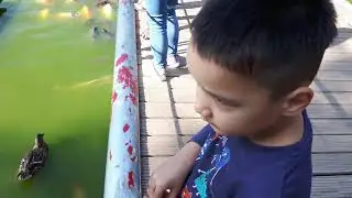 Veldhoven Zoo 2