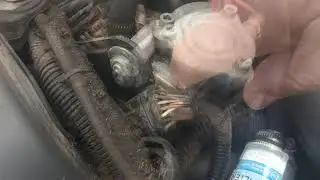 Replacing the filter in the gas reducer / LPG