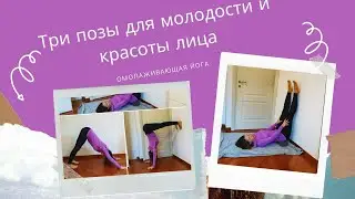 Три позы для молодости и красоты лица. Омолаживающая йога. 