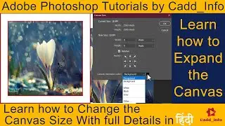 Adobe Photoshop Tutorials | Expand the Canvas | Change Image Canvas Size | Full Details in Hindi |
