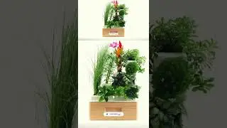 totam planter Modular Automated Self watering 
