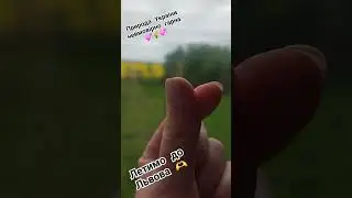вагітність // мій шлях екз