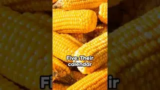 5 CRAZY aztec facts #facts #fact #factshorts #history #youtubeshorts #youtube #aztecs #mexico