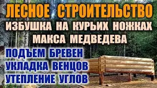 КАК ПОСТРОИТЬ ДОМ В ЛЕСУ СВОИМИ РУКАМИ БЕСПЛАТНО. Изба в лесу - строительство в одиночку. Бушкрафт.