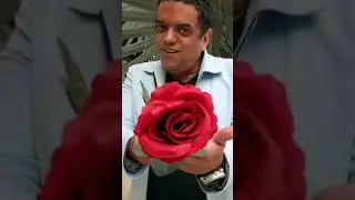A NAMORADA QUE SONHEI - Juliana e Bonde do Forró