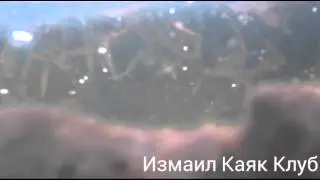 Весна в феврале:-)
