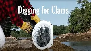 Casco Bay View at Freeport Maine / Clam Digging