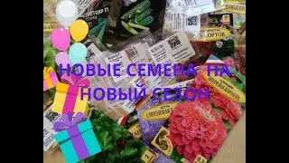 ПОЛУЧИЛА ПРОФЕССИОНАЛЬНЫЕ СЕМЕНА ОГУРЦЫ ТОМАТЫ ПЕРЦЫ И ЕЩЕ КОЕ ЧТО