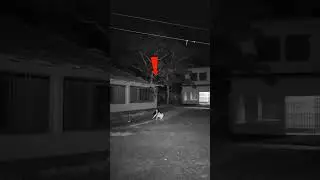 #ghost