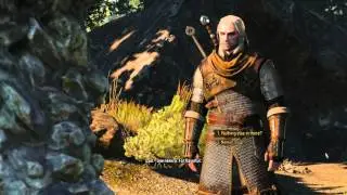Witcher 3: Side Quest - Troll in trouble