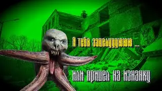 Я тебя зацелую...