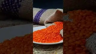 "Kas Gelişimine Destek: En Yüksek Protein İçeren 10 Güçlü Besin!"