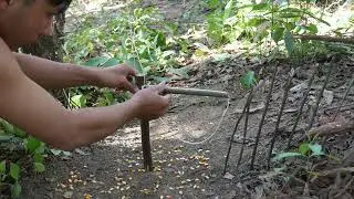 Creative Easy Rope Trap to Catch the Pheasant in the Forest Using Wood